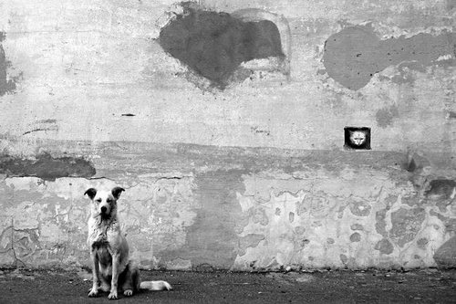 �������� ���� 1