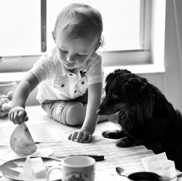 ���� � �������� :: ���������� 1