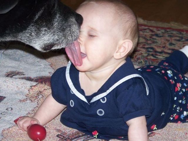 ���� � �������� :: ���������� 1