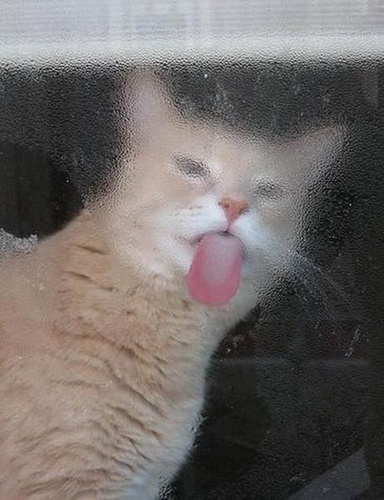�������� � ������ ���� 1