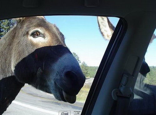 �������� � ������ ���� 10