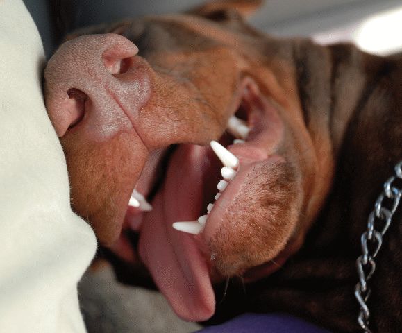 ���������� ������ :: ���������� 1