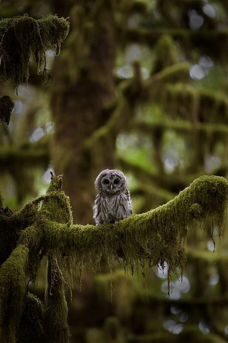 ���������� �������� ���� 12