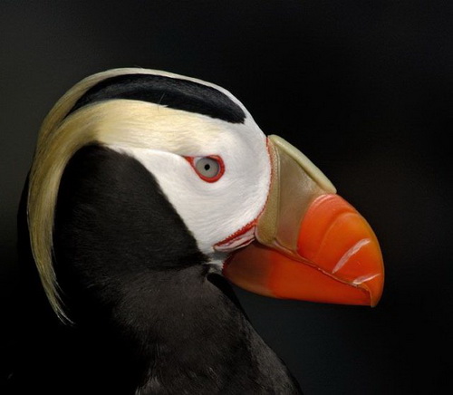 �������� ���� 4