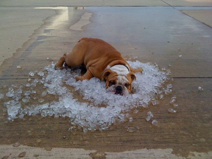 �������� :: ���������� 1