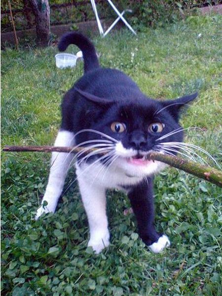 ������� �������� :: ���������� 1
