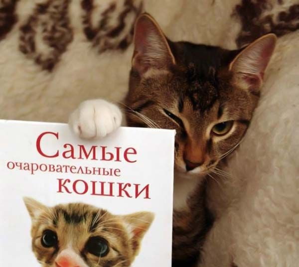 �������� ��� :: ���������� 1