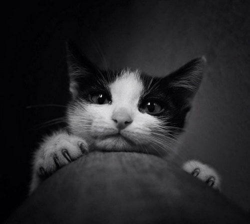 � �������� ���� 57
