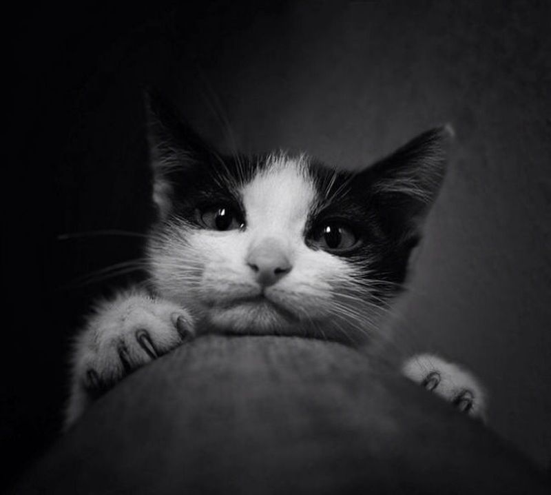 � �������� :: ���������� 1