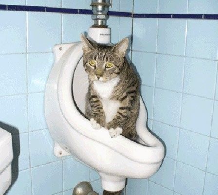�������� ��� :: � �������� :: ���������� 1