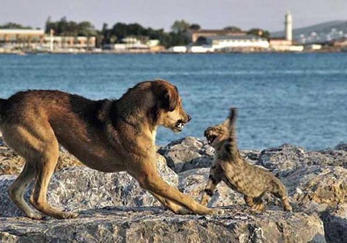 �������� ��� :: ���� �������� ���� 35