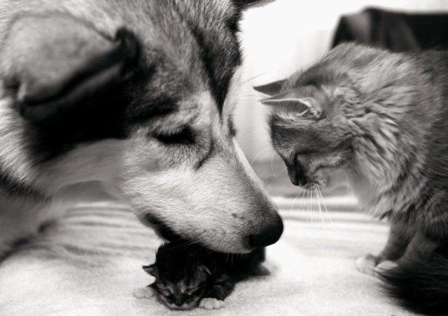 �������� ��� :: ���������� :: ���������� 1