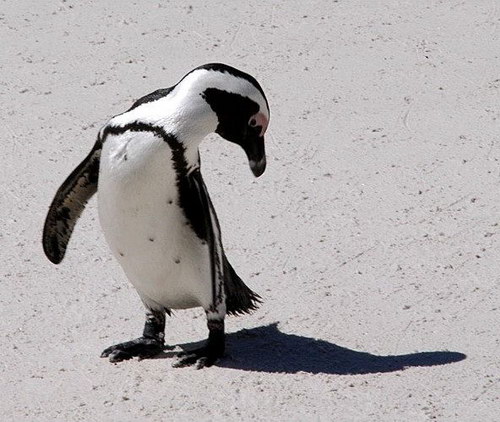 �������� ��� :: �� ����� �������� ���� 73