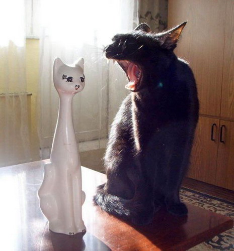 �������� ���� 27
