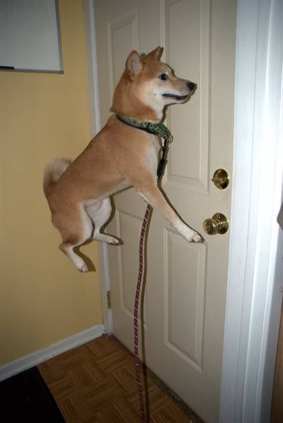 �������� :: ���������� 1