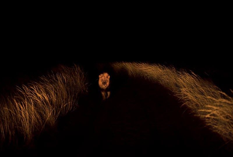 ���������� �������� :: ���������� 1