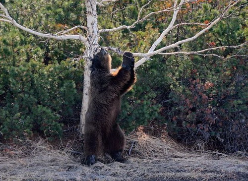 �������� ��� ���� 5