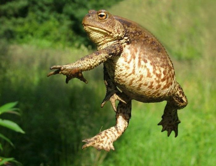 �������� ��� :: ���������� 1