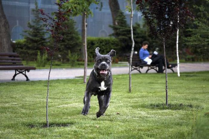 �������� :: ���������� 1