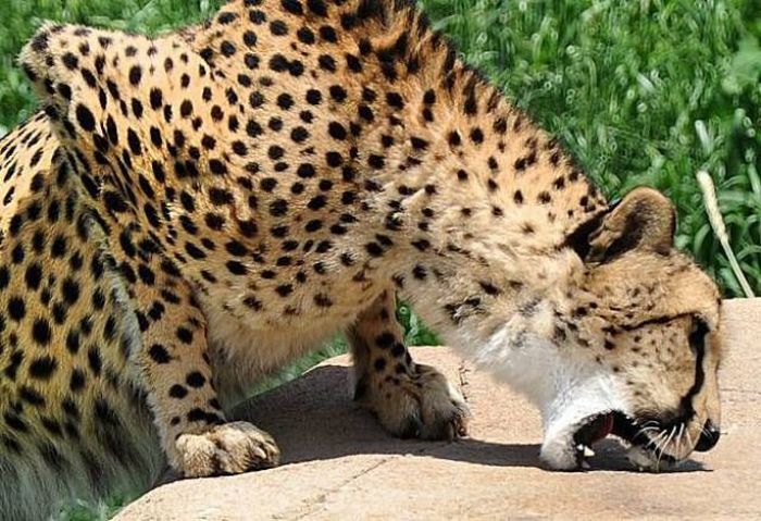 �������� :: ���������� 1