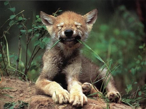 �������� � �������� ���� 31