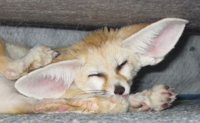 �������� � �������� :: ���������� 1