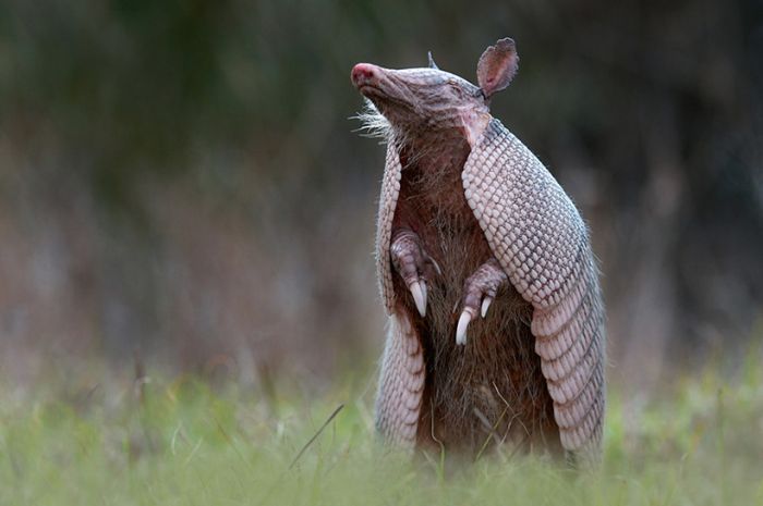 �������� � �������� :: ���������� 1