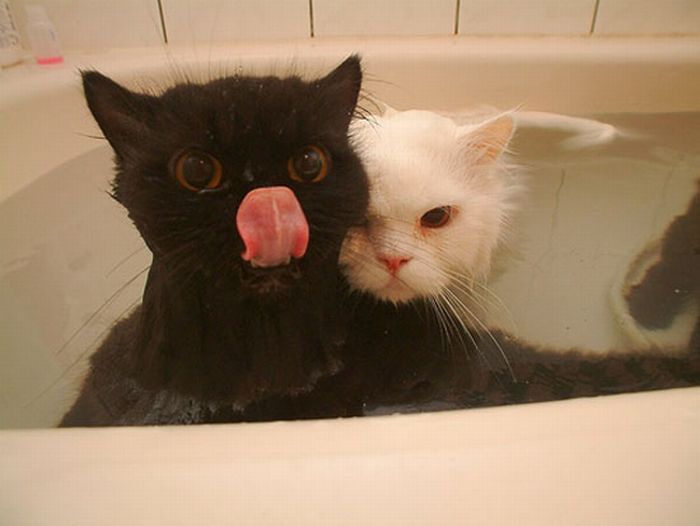�������� � �������� :: ���������� 1