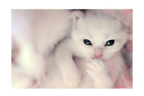 �������� ��� :: ������� �������� :: ���������� 1