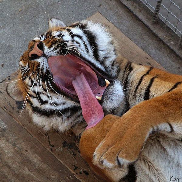 �������� ��� :: ������� �������� :: ���������� 1