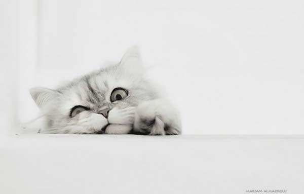 ���� �������� :: ���������� 1