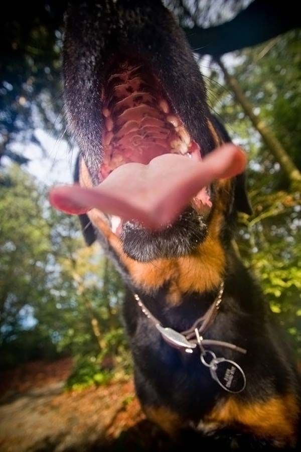 ���� �������� :: ���������� 1