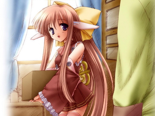 ����� ���� 43