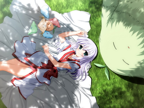 ����� ���� 104