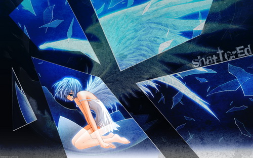 ��������� ����� ���� 13