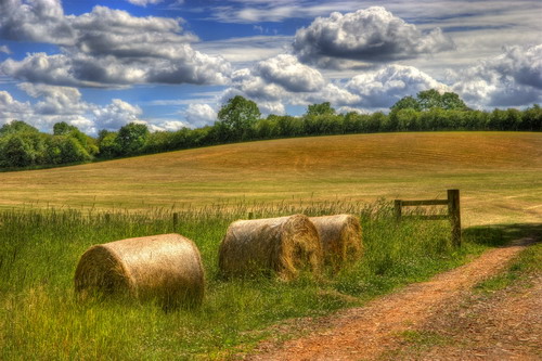 ���� :: ������� HDRi ���� 1