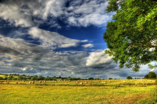 ���� :: ������� HDRi ���� 7