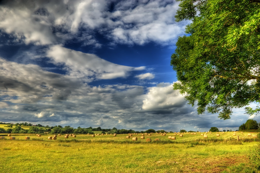 ���� :: ������� HDRi :: ���������� 1