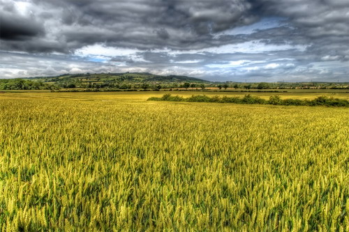 ���� :: ������� HDRi ���� 8