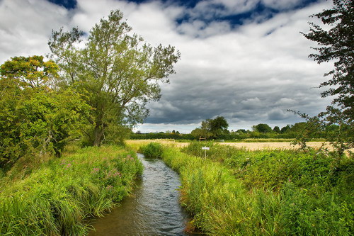 ���� :: ������� HDRi ���� 10