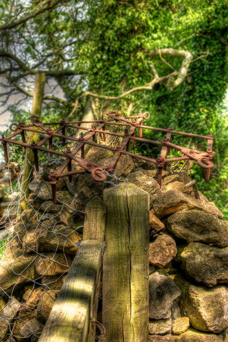 ���� :: ������� HDRi ���� 16