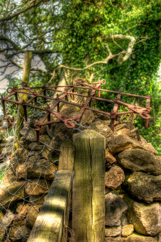 ���� :: ������� HDRi :: ���������� 1