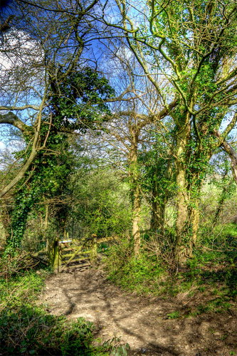 ���� :: ������� HDRi ���� 30