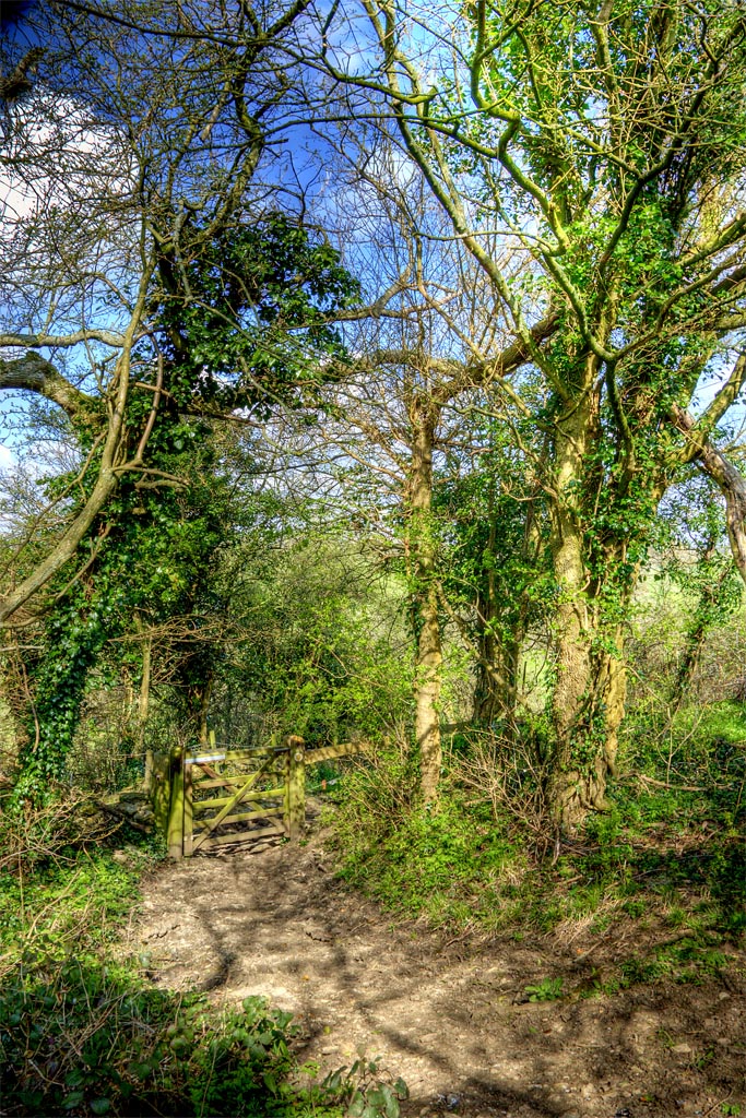 ���� :: ������� HDRi :: ���������� 1