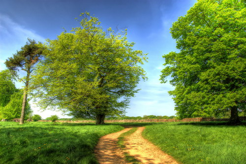 ���� :: ������� HDRi ���� 36