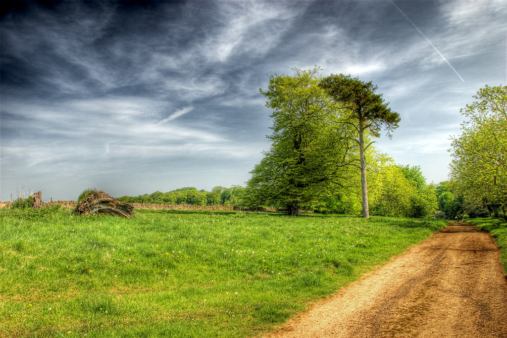���� :: ������� HDRi :: ���������� 1