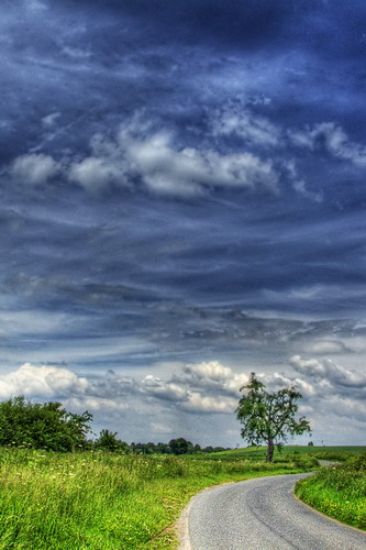 ���� :: ������� HDRi ���� 41