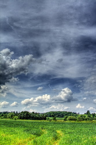 ���� :: ������� HDRi ���� 42