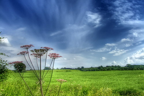 ���� :: ������� HDRi ���� 43