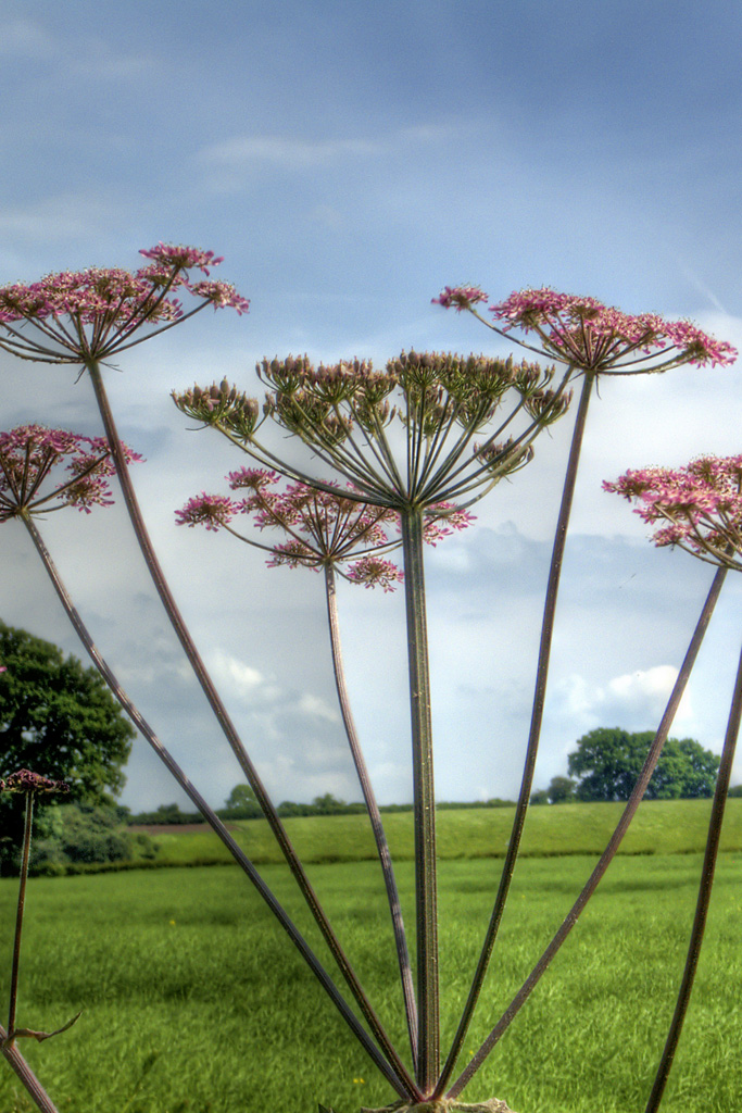 ���� :: ������� HDRi :: ���������� 1